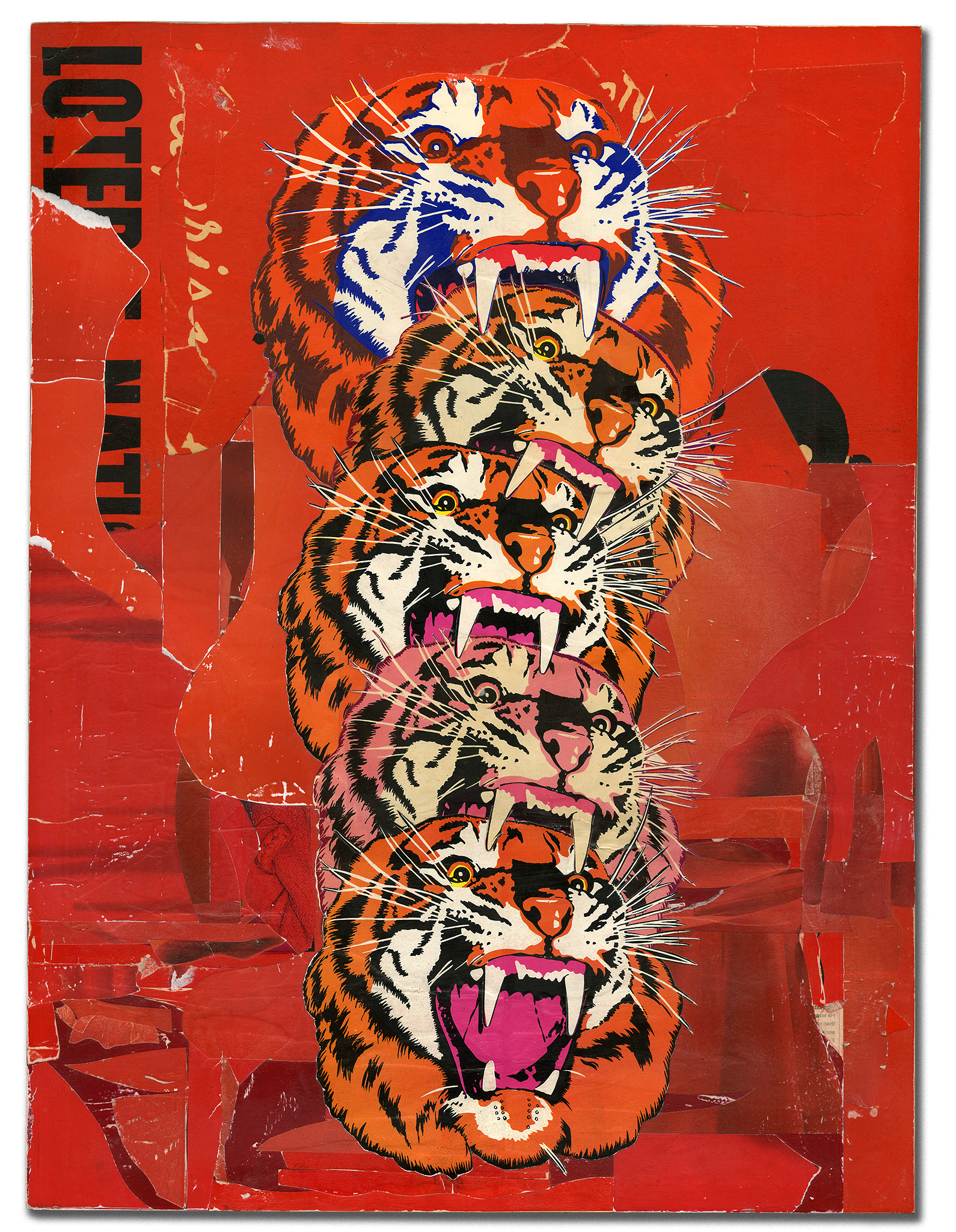 AMUSER VIII