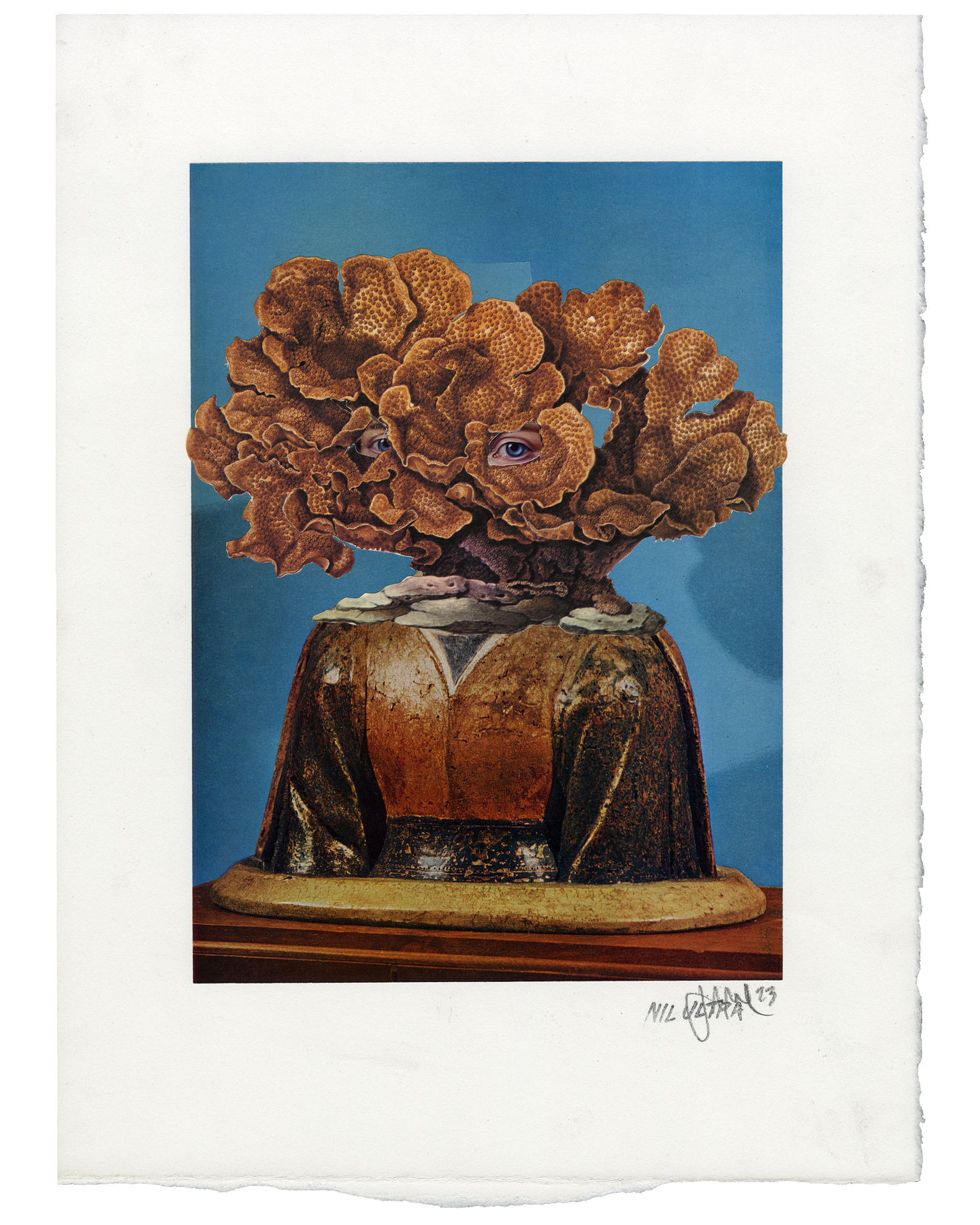 untitled (coral head)
