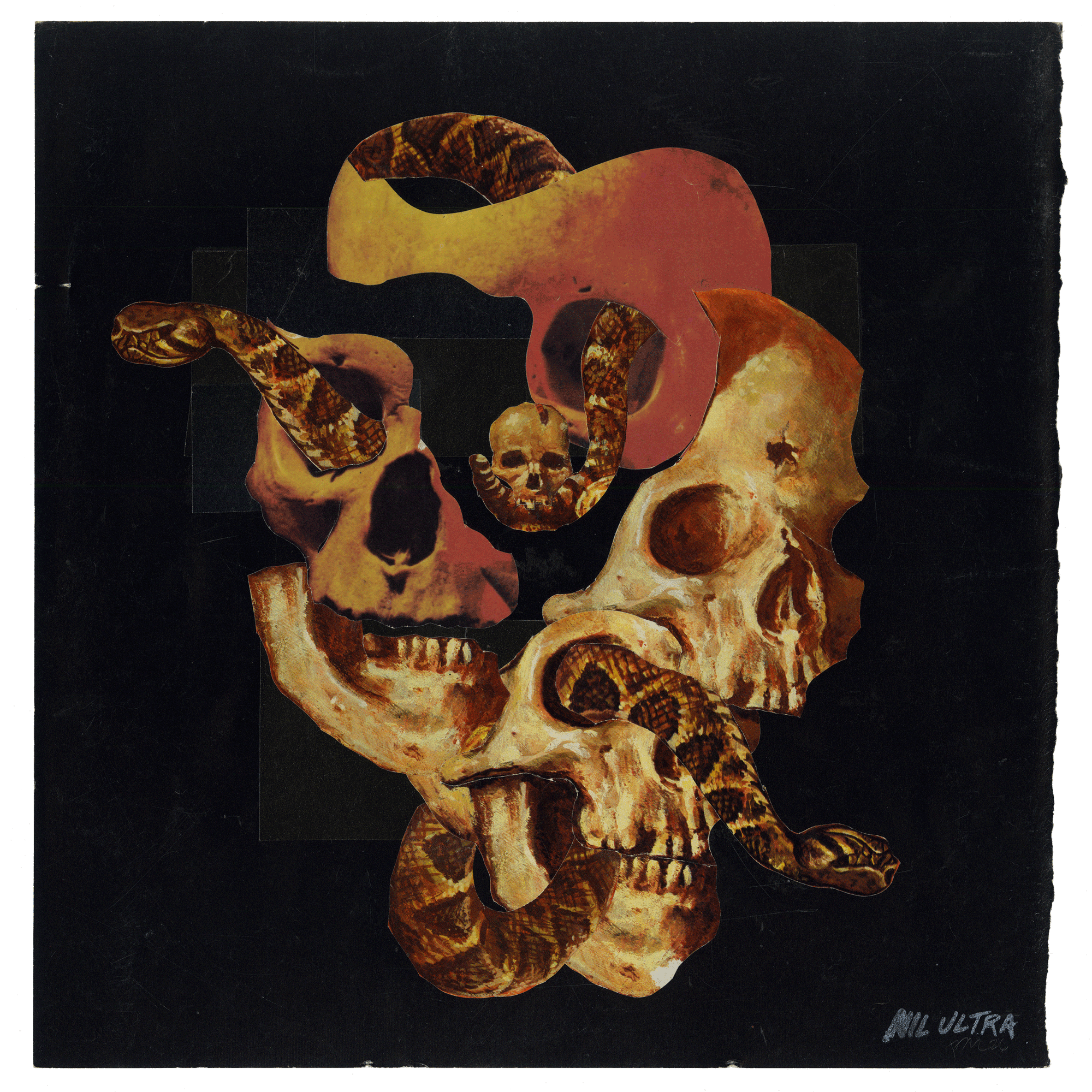 untitled (Snake skull)